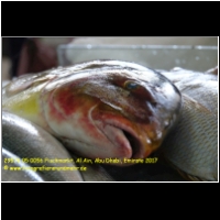 29574 05 0056 Fischmarkt, Al Ain, Abu Dhabi, Emirate 2017.jpg